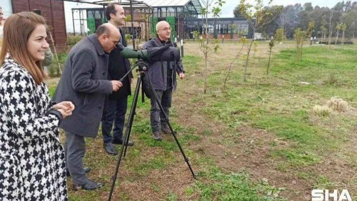 Sulak Alan Gününde Hersek Lagününde 6316 kuş gözlenerek kayıtlara geçirildi