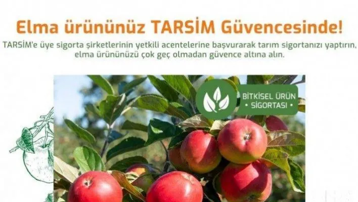 TARSİM: ''Elma ürününüz TARSİM güvencesinde''