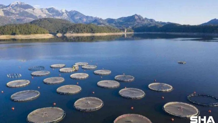 TARSİM: &quotSu ürünleriniz, kafes ve ağlarınız TARSİM güvencesinde&quot