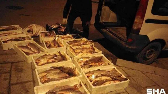 Terkos Gölü'nde kaçak olarak avladılar yol denetiminde yakalandılar