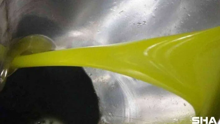 Ayçiçeğine inat yerli üretim zeytinyağı fiyatını koruyor