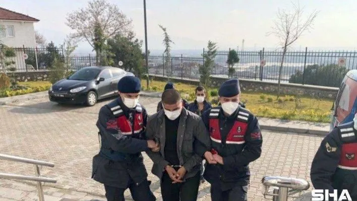 Bursa'da 4 kamyonet zeytin fidanını çaldılar, jandarmadan kaçamadılar