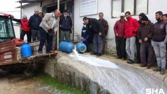 Çanakkale'de mandıracılara kızıp 200 kilogram sütü döktüler