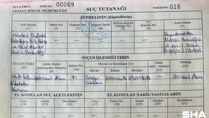 Çırağan Caddesi'nde kesilen 112 çınar ağacı için İBB'ye para cezası