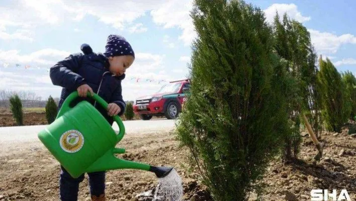 Edirne'de bu yıl hedef: 2 buçuk milyon fidan