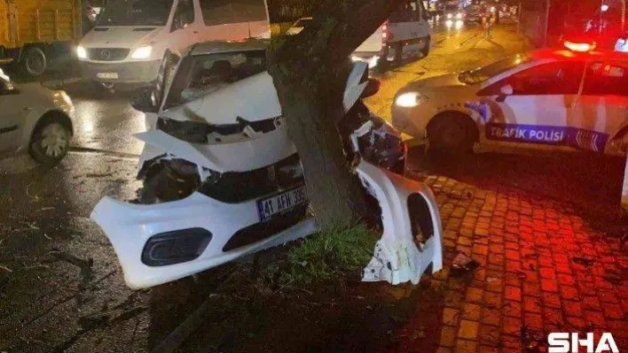 İş makinesini sollamaya çalışan otomobil ağaca girdi: 1 yaralı