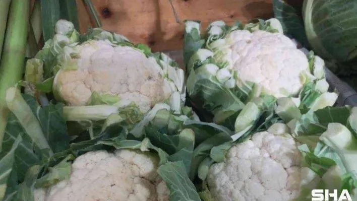 İstanbul'da Şubat ayında en fazla pahalanan ürün karnabahar oldu