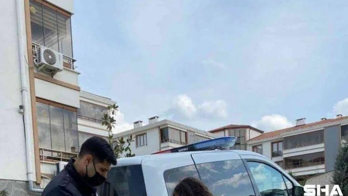 Kız çocuğunun dikkati anne kedinin hayatını kurtardı