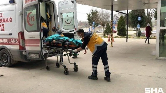 Köpek meselesi yüzünden karı-kocayı vuran kadın sosyal medya fenomeni çıktı