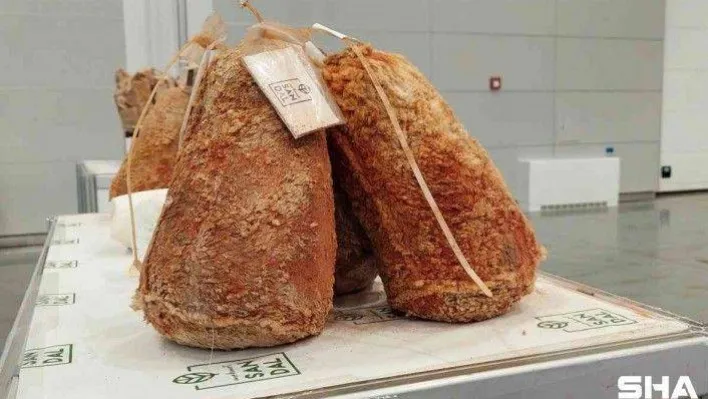 Peynir ve zeytin festivalinde uygun fiyatlar cezbediyor