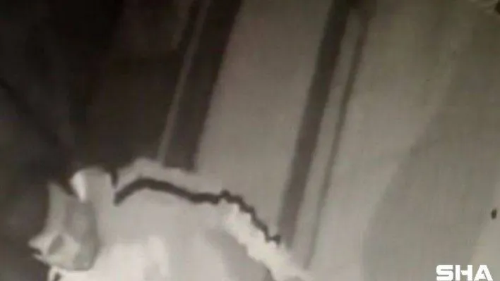 SMA hastası bebeğin bağış kutusunu çalan şüpheli yakalandı