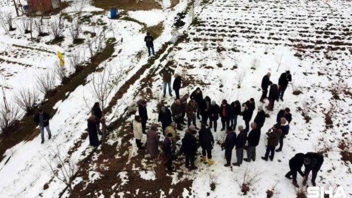 Türkiye'deki yaban mersininin üçte biri Bursa'da üretiliyor