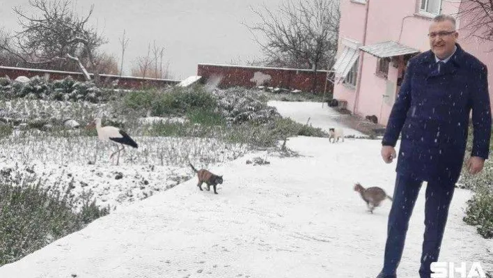 Yaren Leylek karla tanıştı, soluğu dostunun yanında aldı