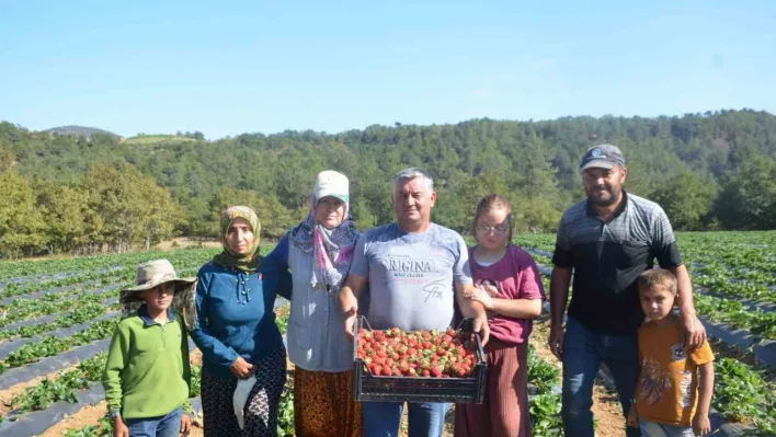 25 yıl yaptıkları işi yürütemediler, son çare olarak bunu buldular