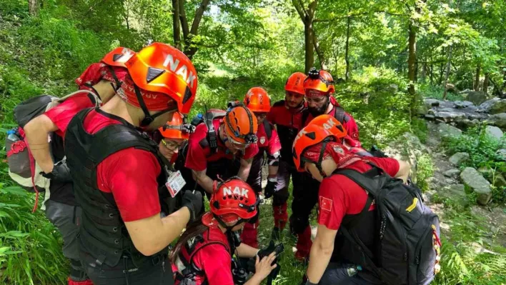 3 ay önce kaybolan 'Otçu Kadri' Uludağ'da ölü bulundu