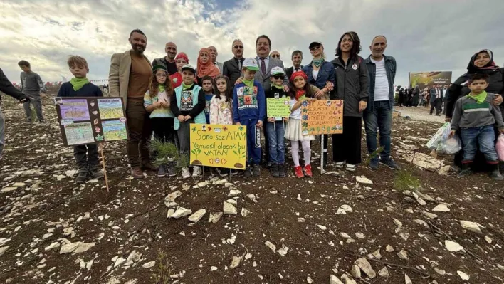 4 bin 500 fidan yanan ormanlık alanda toprakla buluştu