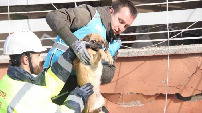 6 katlı bina enkazından sağ çıktı, depremzede kadın sahiplendi