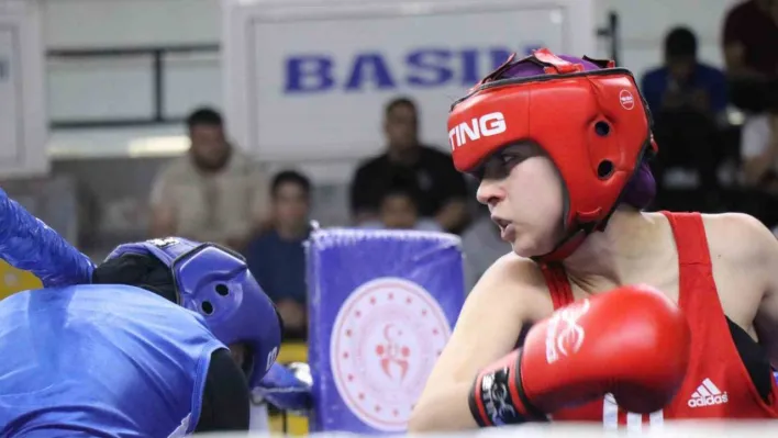 67 ilden 848 sporcu, Türkiye Ferdi Boks Şampiyonası'nda mücadele ediyor