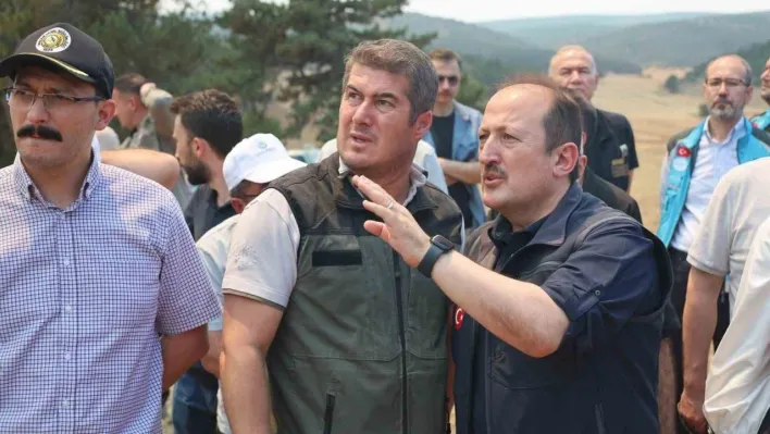 AFAD: 'Yangınlara karşı mücadele kapsamında 4 bin 231 personel, 45 hava aracı ve bin 236 kara aracı görev yapmaktadır'