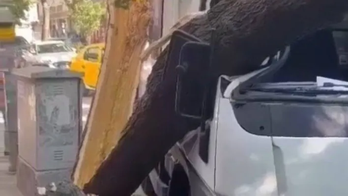 Ağaç kamyonetin üzerine devrildi