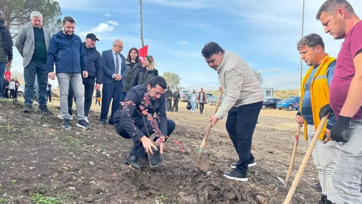 Ağaçlandırma günü etkinliği Havran'da gerçekleştirildi