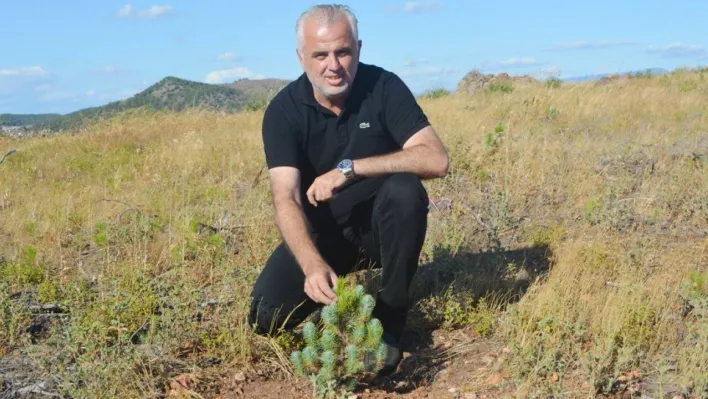 AK Parti Ayvalık İlçe Başkanı Ali Gür istifa etti