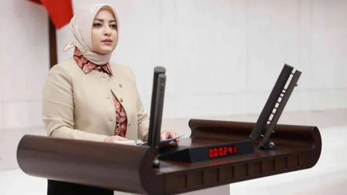 AK Parti'li Atabek'ten HDP'ye tepki: 'Haydi söylesenize 'PKK çocuk katilidir, kadın katilidir' diye. Ne mümkün'