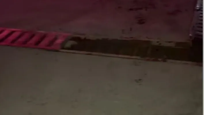 Akaryakıt istasyonu girişinde ilginç kaza: Yerinden çıkan mazgal, otomobilin motor kısmına çarptı