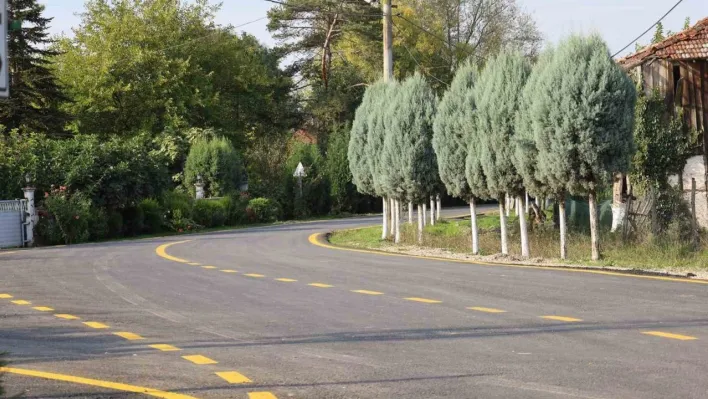 Akyazı'da 4 mahallenin ulaşımı için yeni dönem