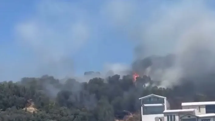 Alevler sahilden görüldü