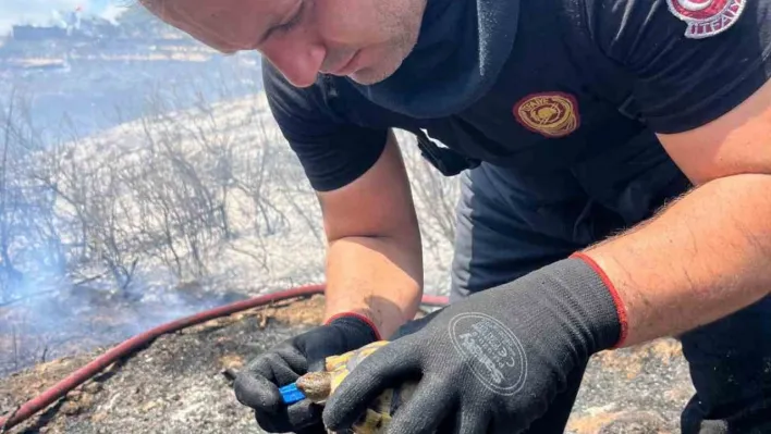 Alevlerin ortasında bir damla hayat