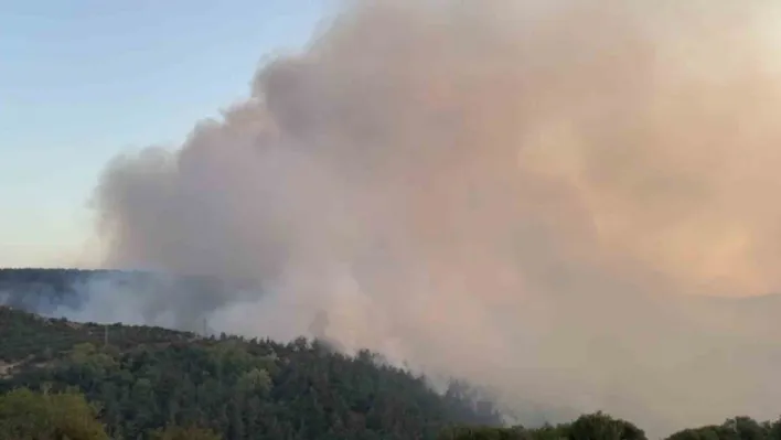 Altıeylül'deki orman yangınına müdahale sürüyor