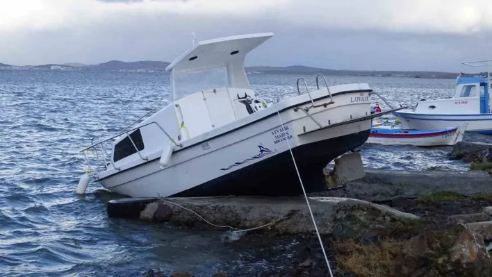 Altınova'da fırtına hayatı olumsuz etkiledi