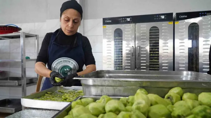 Altınova'nın kadınları üretimle güçleniyor