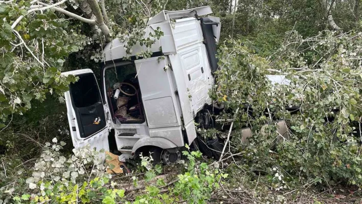 Anadolu Otoyolu'nda kontrolden çıkan tır, ağaca çarparak durabildi: 1 yaralı