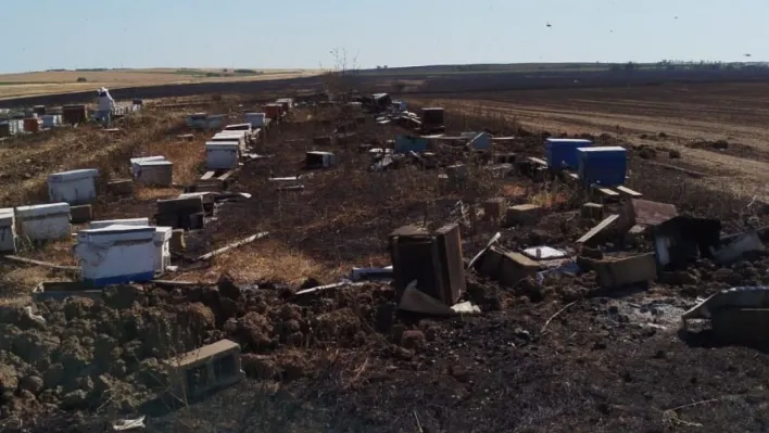 Anız yangını 400 arı kovanını kül etti