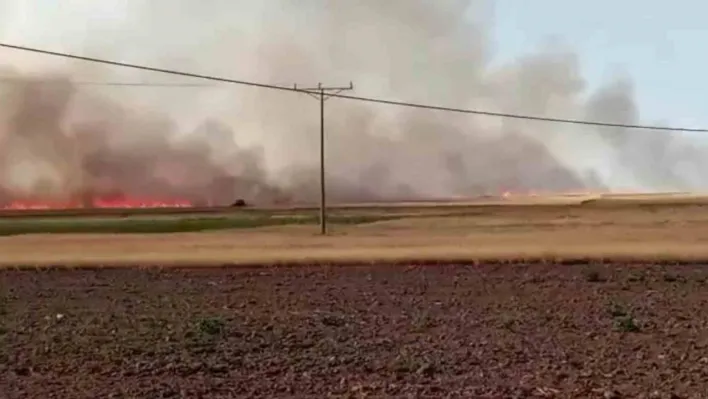 Ankara'da 500 dönümlük tarla yangında kül oldu