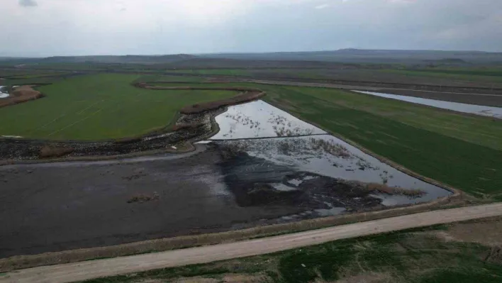 Ankara'da çevre felaketi: Firmalar atıklarını tarlaya bırakıyor