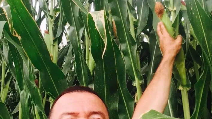 Ankara'da inek tarafından tekmelenen adam öldü