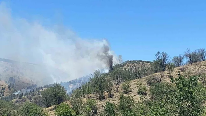 Ankara'da ormanlık alanda yangın çıktı