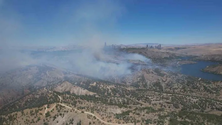 Ankara'daki orman yangını dron ile görüntülendi