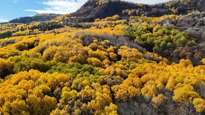 Ankaralıların doğayla buluşma noktası: 'Karagöl Tabiat Parkı'