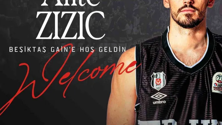 Ante Zizic, Beşiktaş'ta