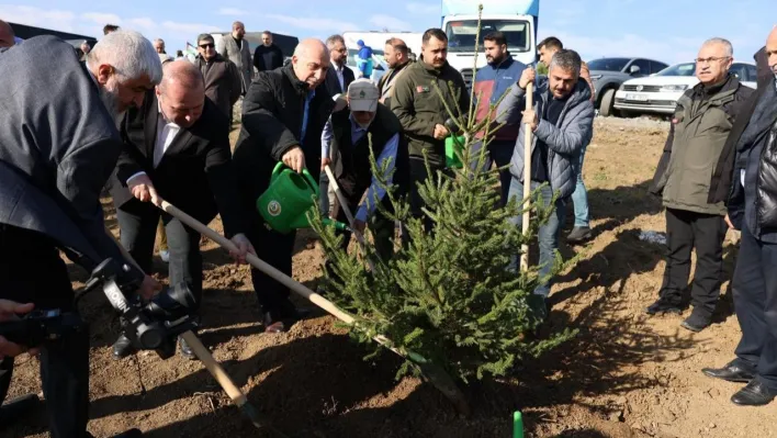 Arnavutköy'de Gazze için 10 bin fidan dikildi