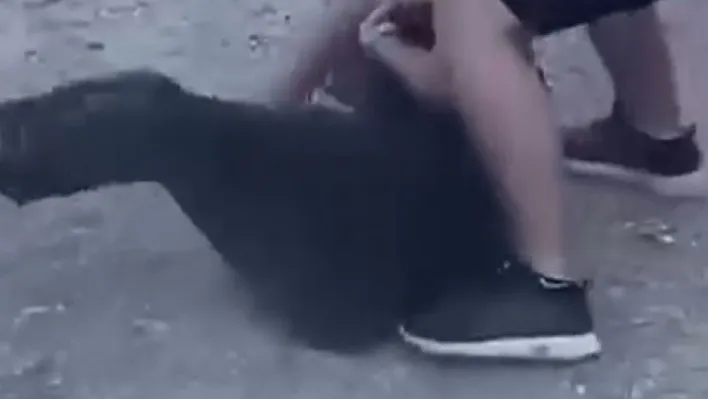 Arnavutköy'de gençlerin acımasızca kavgası kamerada
