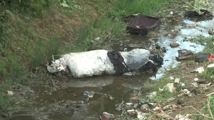 Arnavutköy'de haşere yuvasına dönen dere mahalleliyi isyan ettirdi