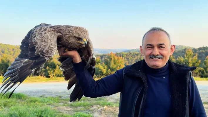 Arnavutköy'de ormanda ot toplayan vatandaş yaralı Kaya Kartalı buldu