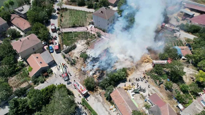 Arnavutköy'de yangın: Çiftçinin biriktirdiği saman balyaları küle döndü