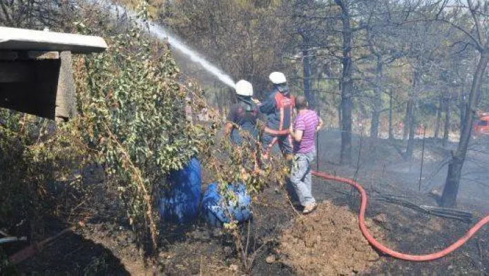 Aşırı Sıcaklar Yangına Sebebiyet Verdi