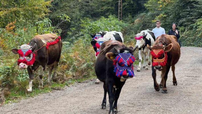 Asırlık gelenek sürdürülüyor: Keremali Yaylası'ndan renkli dönüş şöleni